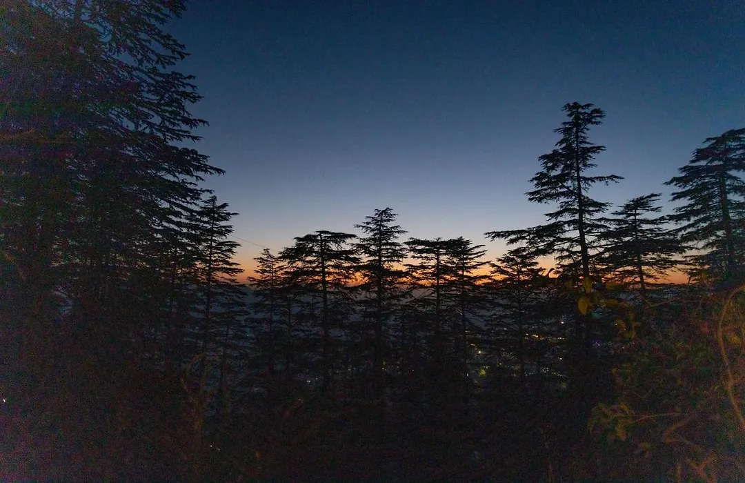 Seclude Shimla, Taraview-1