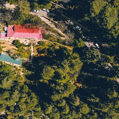 Seclude Shimla, Taraview-3